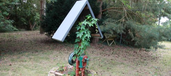  Land in Brandenburg, Germany No. 61646 19