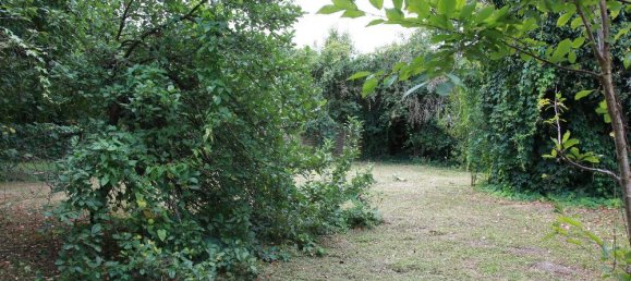  Land in Brandenburg, Germany No. 61646 44