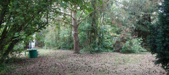  Land in Brandenburg, Germany No. 61646 21