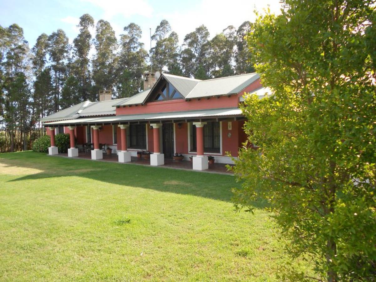 Farm in Maldonado, Uruguay No. 14557
