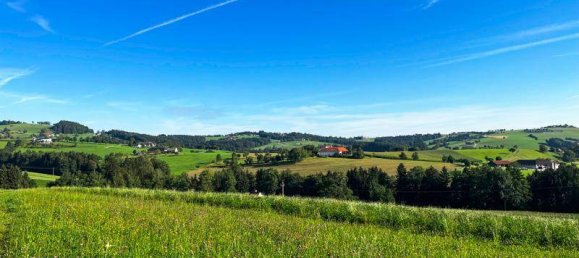 8 bedrooms House in Oberschlierbach, Austria No. 63078 4