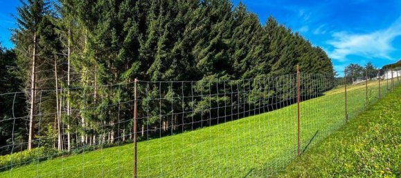 8 bedrooms House in Oberschlierbach, Austria No. 63078 19