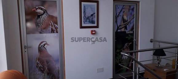 7 Schlafzimmer Hotel in Mertola, Portugal, Nr. 159675 9