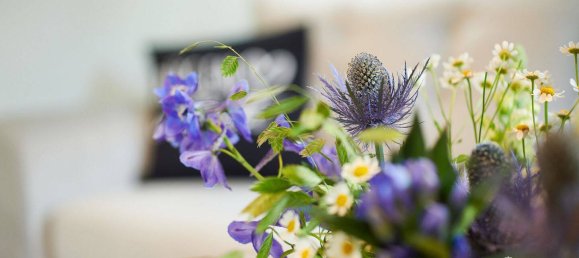 1 bedroom Apartment in Vorpommern-Rugen, Germany No. 365115 10