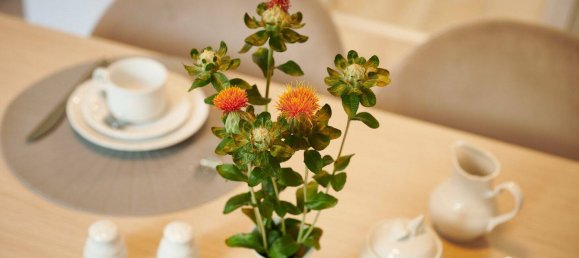 1 bedroom Apartment in Vorpommern-Rugen, Germany No. 365115 6