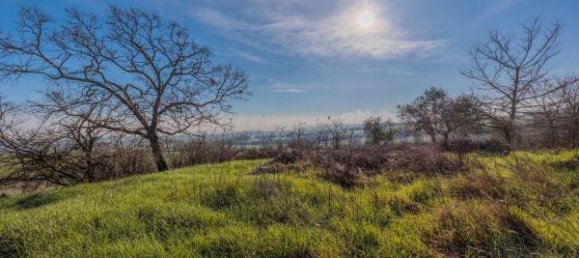 6-Zimmer Haus in Torrita di Siena, Italy, Nr. 160846 18