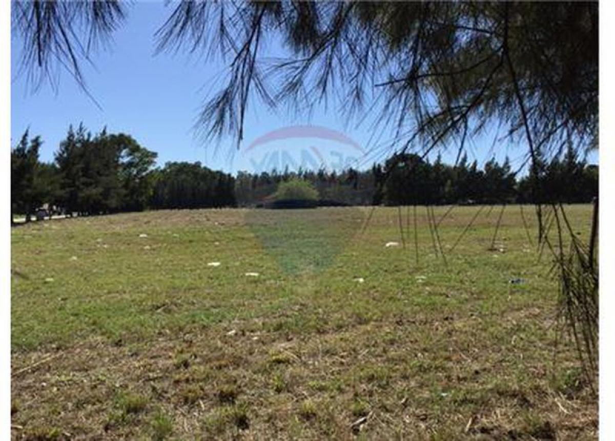  قطعة أرض في Campo Creado, Argentina رقم 114995