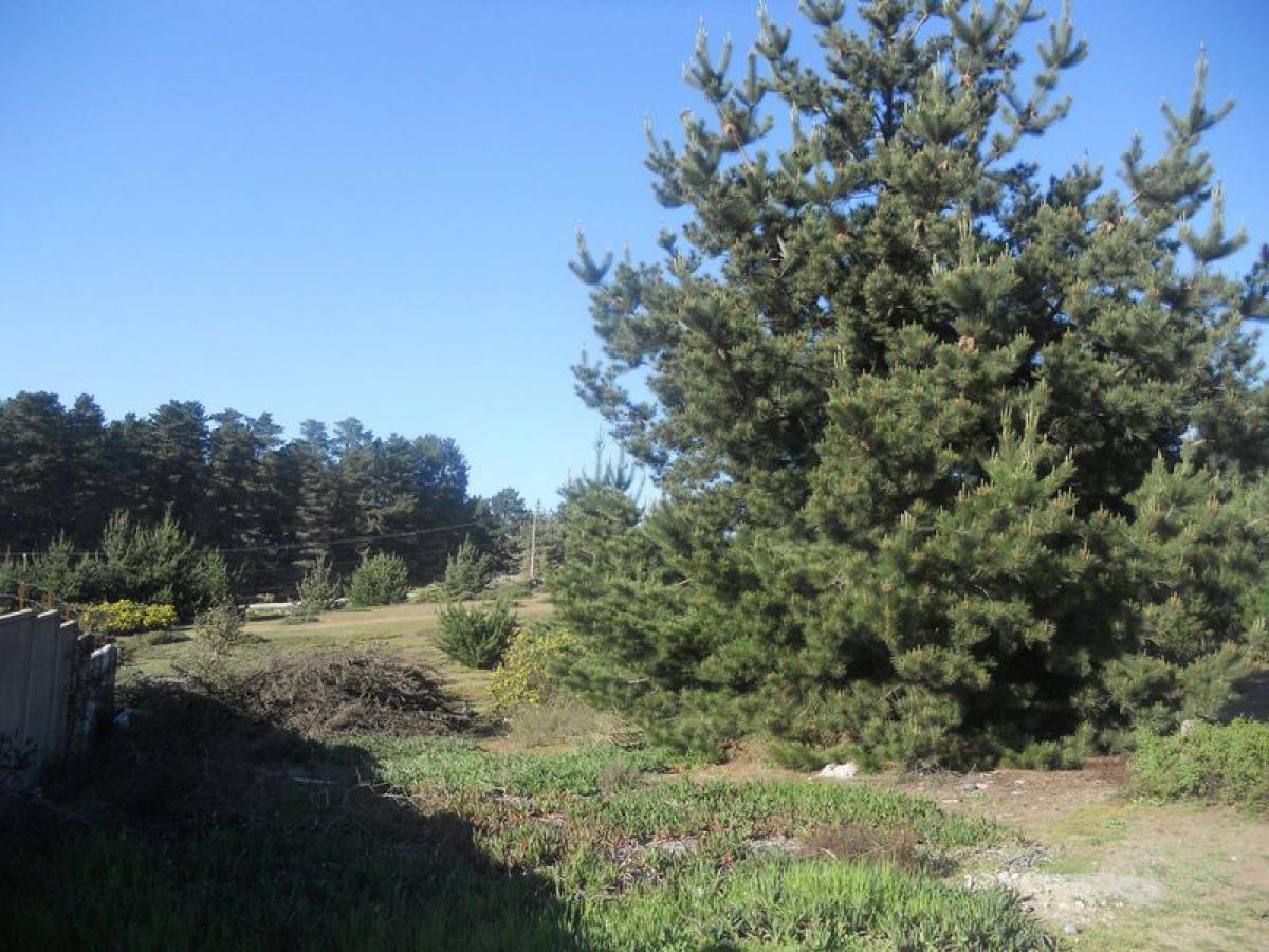 Grundstück in Valparaiso, Chile, Nr. 989