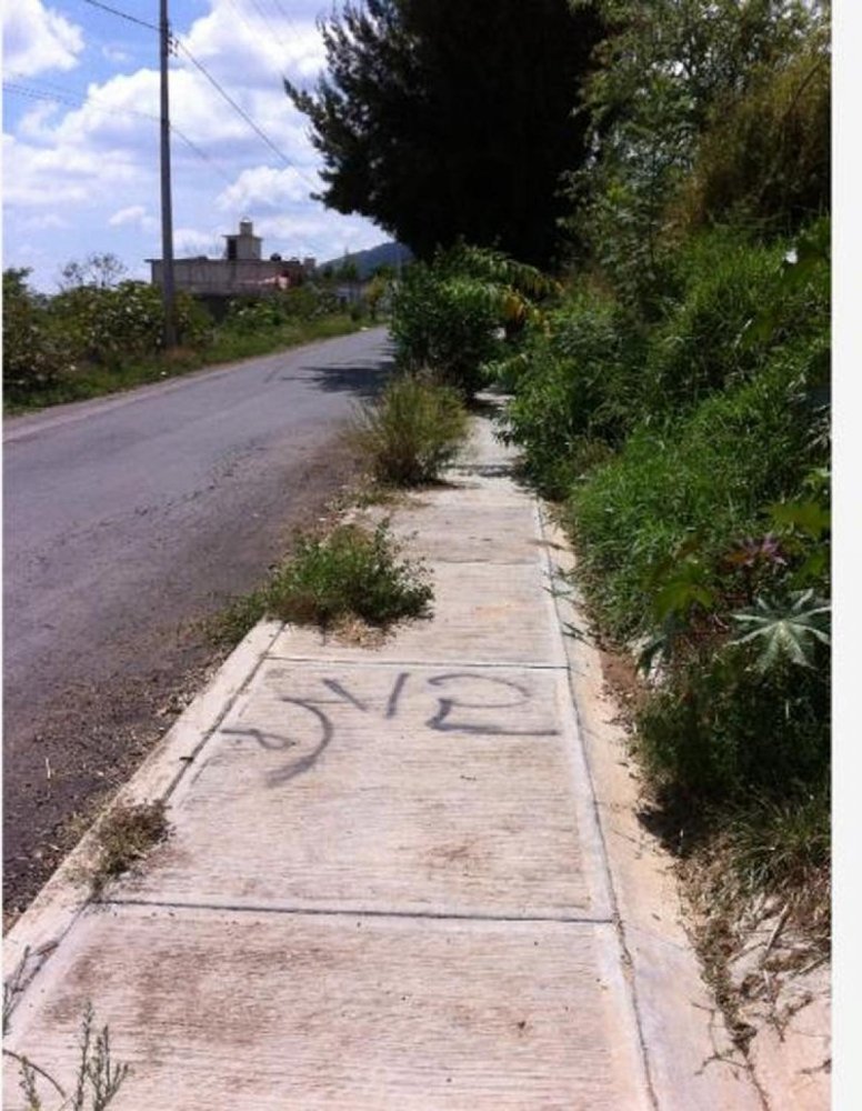 Земельный участок в Тонатико, Мексика № 203579