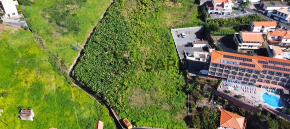 Grundstück in Ribeira Brava, Portugal 5348m², Nr. 141920 10