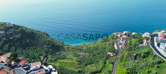 Grundstück in Ribeira Brava, Portugal 5348m², Nr. 141920 7