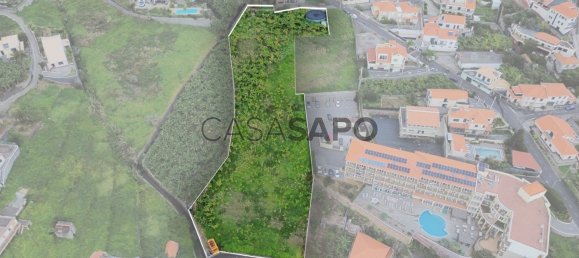 Grundstück in Ribeira Brava, Portugal 5348m², Nr. 141920 2