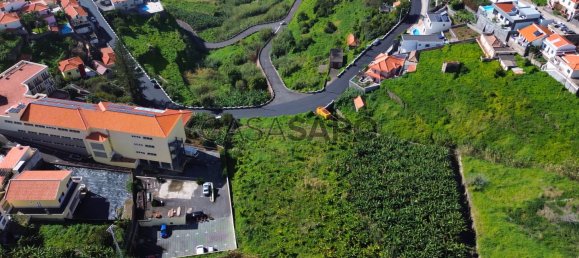 Grundstück in Ribeira Brava, Portugal 5348m², Nr. 141920 9