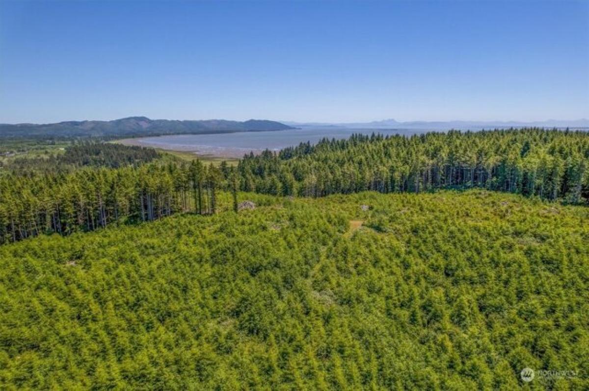  Land in Ilwaco, USA No. 510378