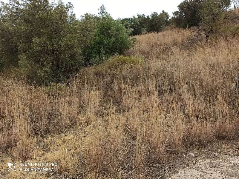 Terreno em Malaga, Spain 4000 m² N.º 221560