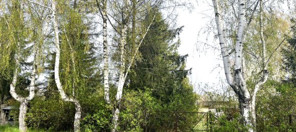  قطعة أرض في Markisch-Oderland, Germany رقم 259028 9