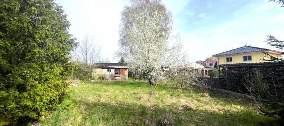  قطعة أرض في Markisch-Oderland, Germany رقم 259028 7