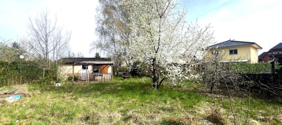  قطعة أرض في Markisch-Oderland, Germany رقم 259028 2