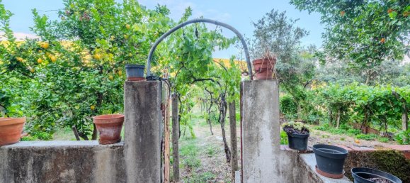 6 غرف نوم منزل في Unhais da Serra, Portugal رقم 167787 27