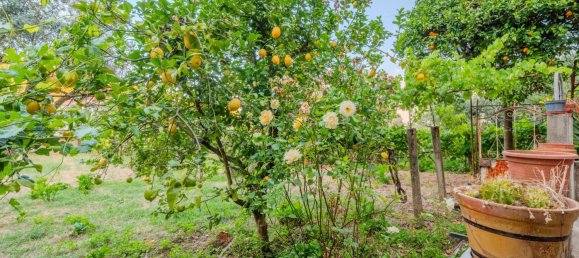 6 غرف نوم منزل في Unhais da Serra, Portugal رقم 167787 26
