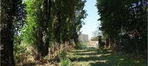 15 rooms House in Cerea, Italy No. 152408 5