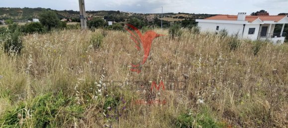 Terrain à Alcanena, Portugal 652m² No. 97824 12