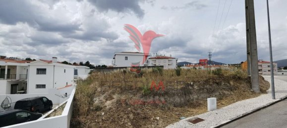 Terrain à Alcanena, Portugal 652m² No. 97824 8