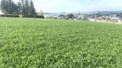Terreno em Eberschwang, Austria N.º 113812