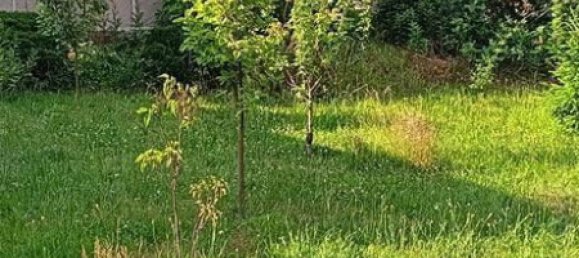 2 bedrooms Townhouse in Mittelsachsen, Germany No. 266628 5