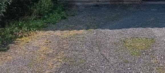 2 bedrooms Townhouse in Mittelsachsen, Germany No. 266628 6