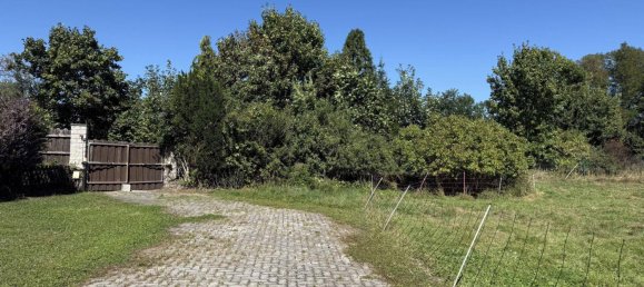 3 rooms House in Pulkau, Austria No. 259203 4