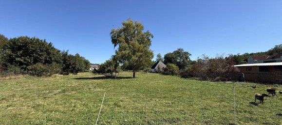 3 rooms House in Pulkau, Austria No. 259203 5