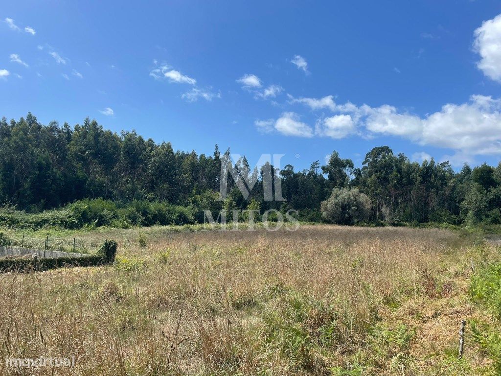 Земельный участок 6874м² в Виана ду Каштелу, Португалия № 88570