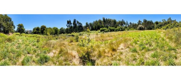 Земельный участок 6874м² в Виана ду Каштелу, Португалия № 88570 6