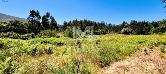 Земельный участок 6874м² в Виана ду Каштелу, Португалия № 88570 12