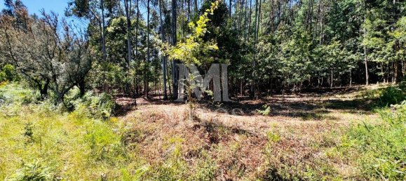 Земельный участок 6874м² в Виана ду Каштелу, Португалия № 88570 16