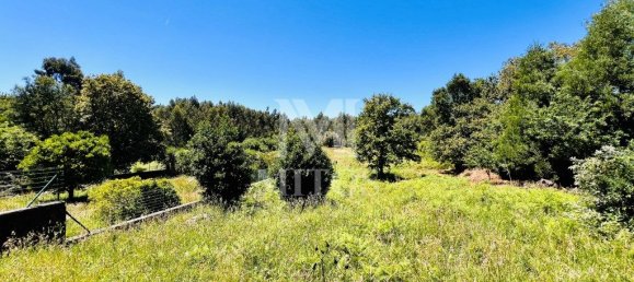 Земельный участок 6874м² в Виана ду Каштелу, Португалия № 88570 17