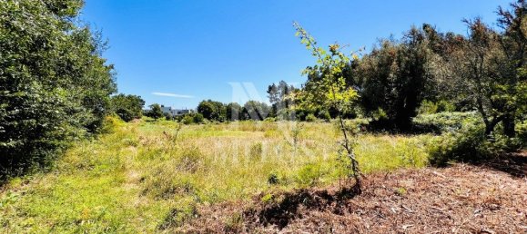 Земельный участок 6874м² в Виана ду Каштелу, Португалия № 88570 14