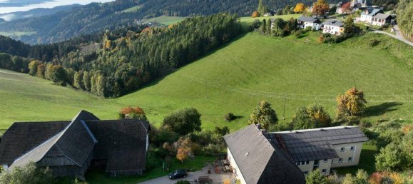 600m² Hotel in Griffen, Austria No. 156210 2