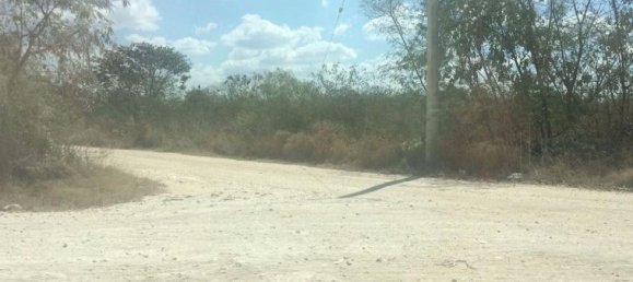  Land in Merida, Mexico No. 104903 2