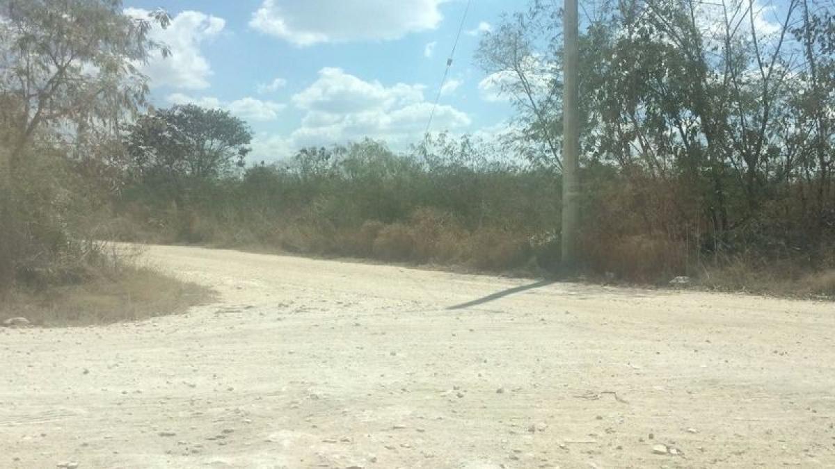  Land in Merida, Mexico No. 104903