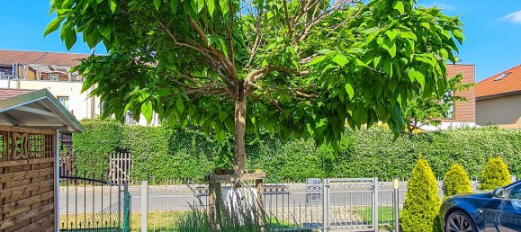4-salle Maison de ville à Potsdam, Germany No. 115497 8