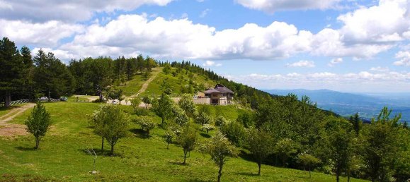 11 bedrooms House in Loro Ciuffenna, Italy No. 128110 5