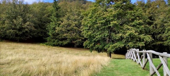 11 bedrooms House in Loro Ciuffenna, Italy No. 128110 18