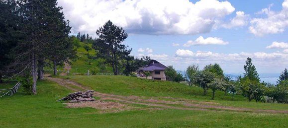 11 bedrooms House in Loro Ciuffenna, Italy No. 128110 7