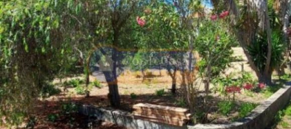 قطعة أرض في Sassari, Italy 3000متر مربع رقم 46561 6