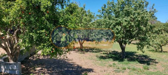 قطعة أرض في Sassari, Italy 3000متر مربع رقم 46561 4