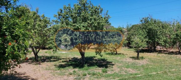 قطعة أرض في Sassari, Italy 3000متر مربع رقم 46561 3