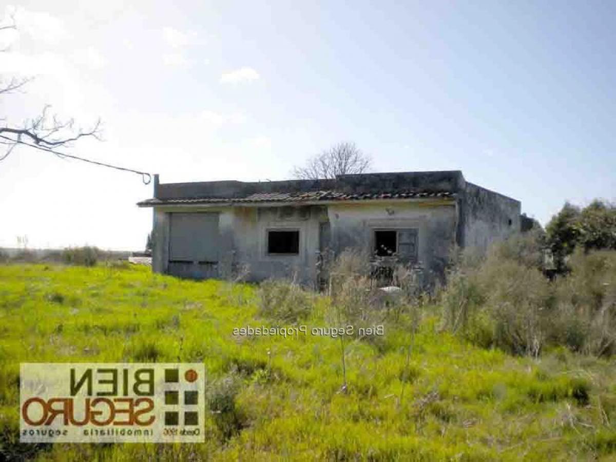 4 chambres Terrain à Montevideo, Uruguay No. 14868