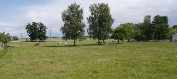 Земельный участок в Людвигслуст-Пархим, Германия № 226173 4